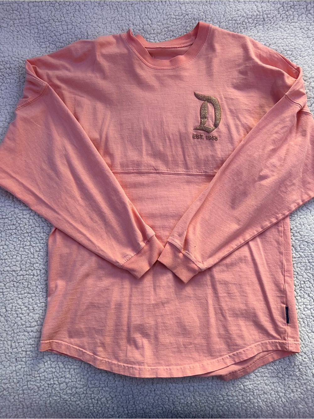 Disneyland Spirit jersey